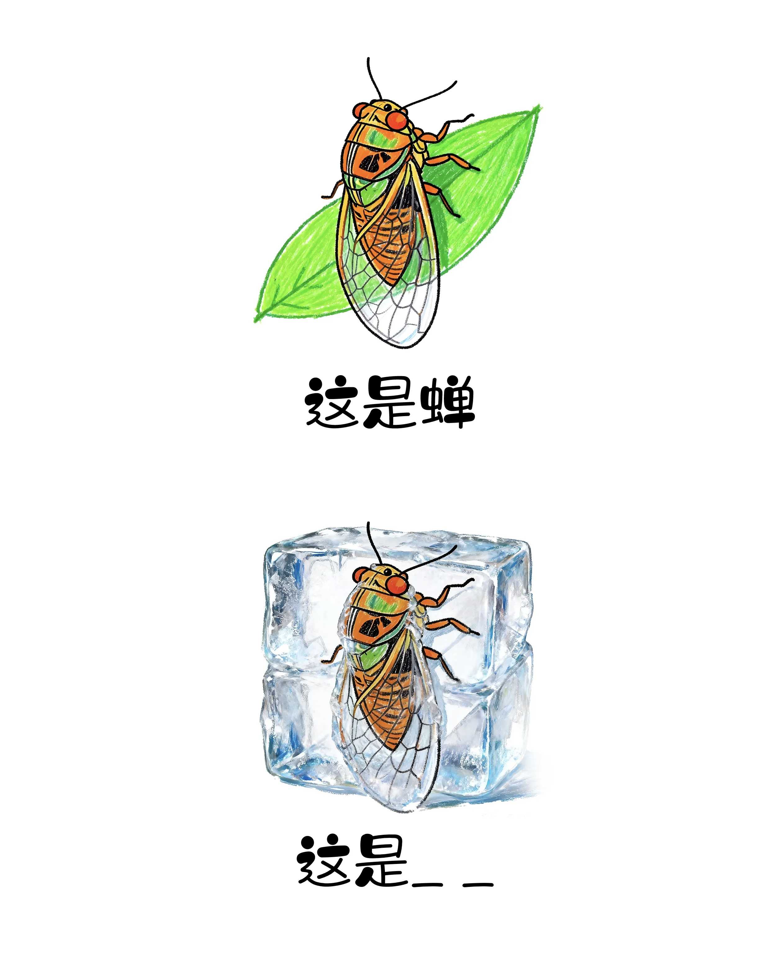 J9国际站备用【唯一】官方网站
